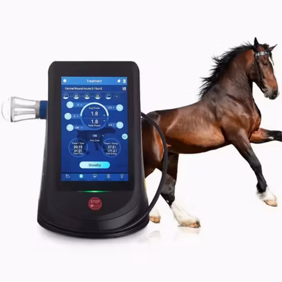 Dm6a Equipo Dental Veterinario para Caballos